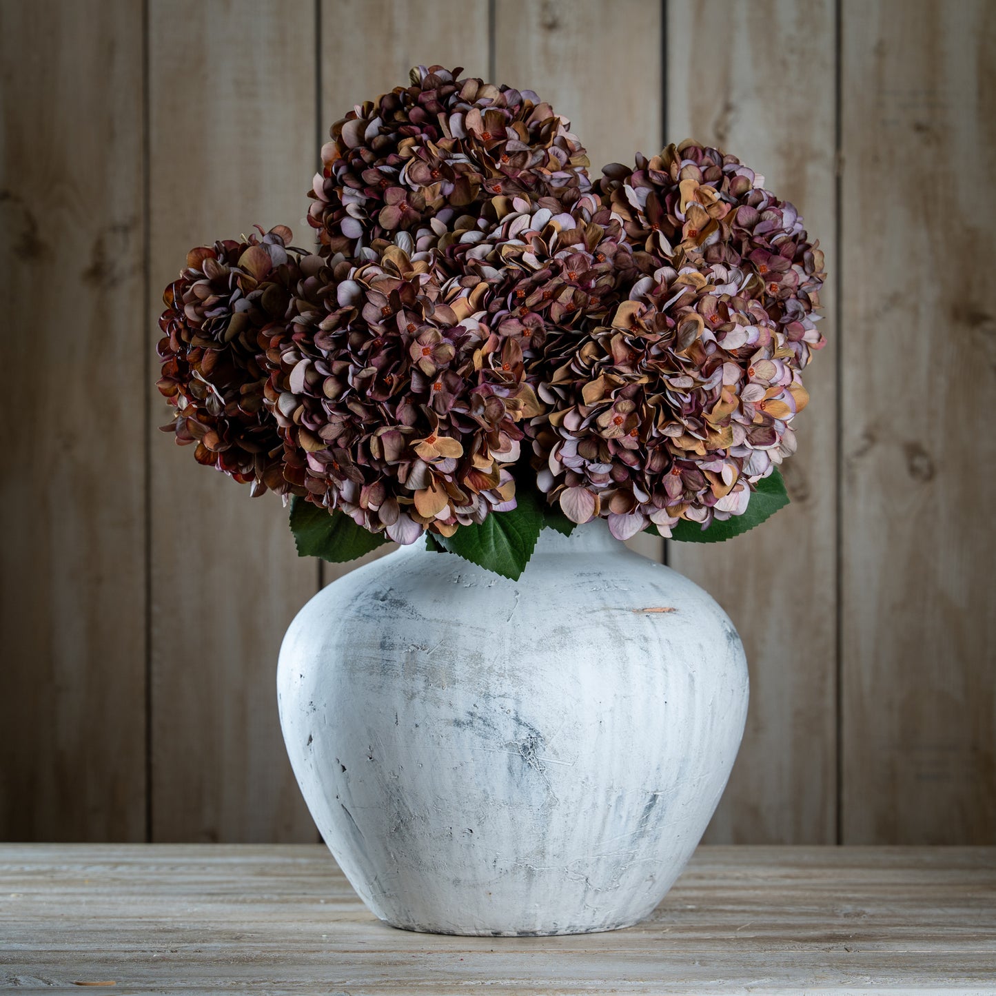 Autumn Coffee Hydrangea - image 3