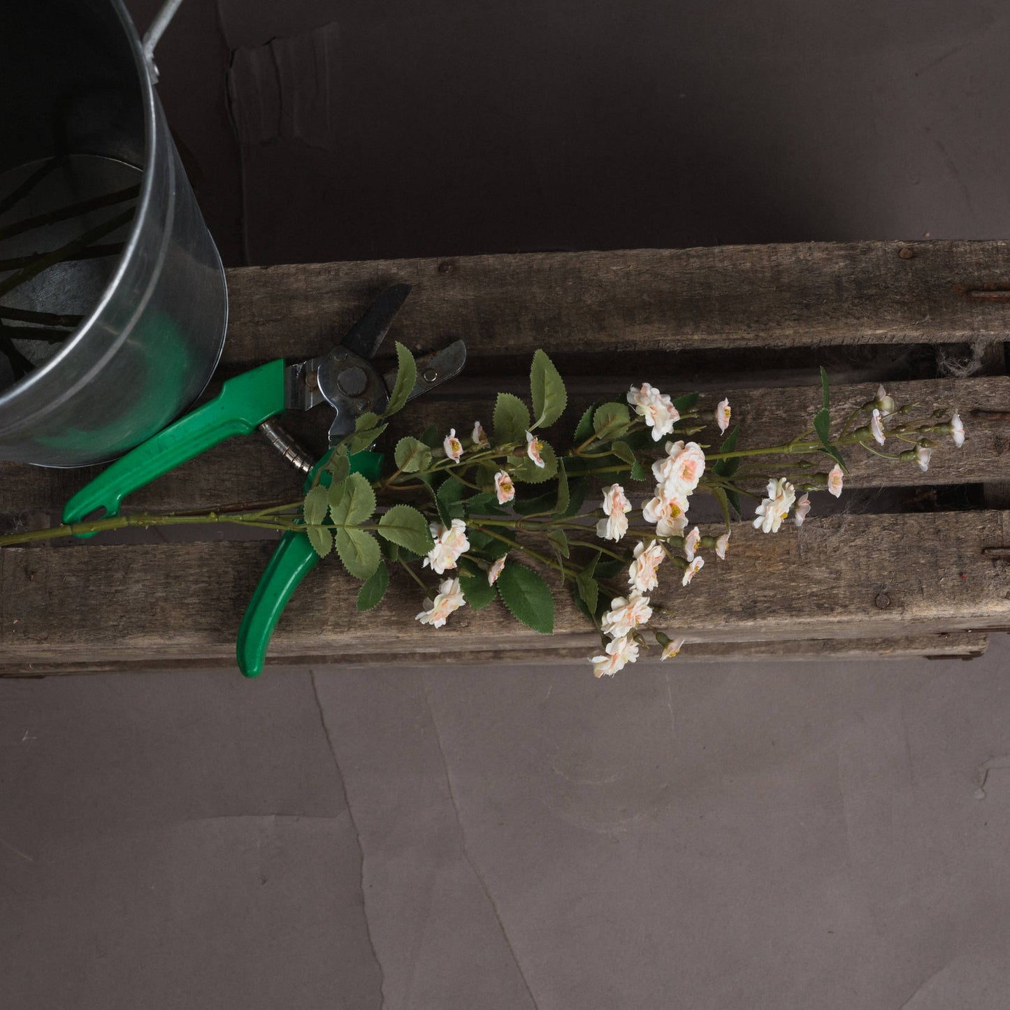 Cream Wild Meadow Rose - image 2