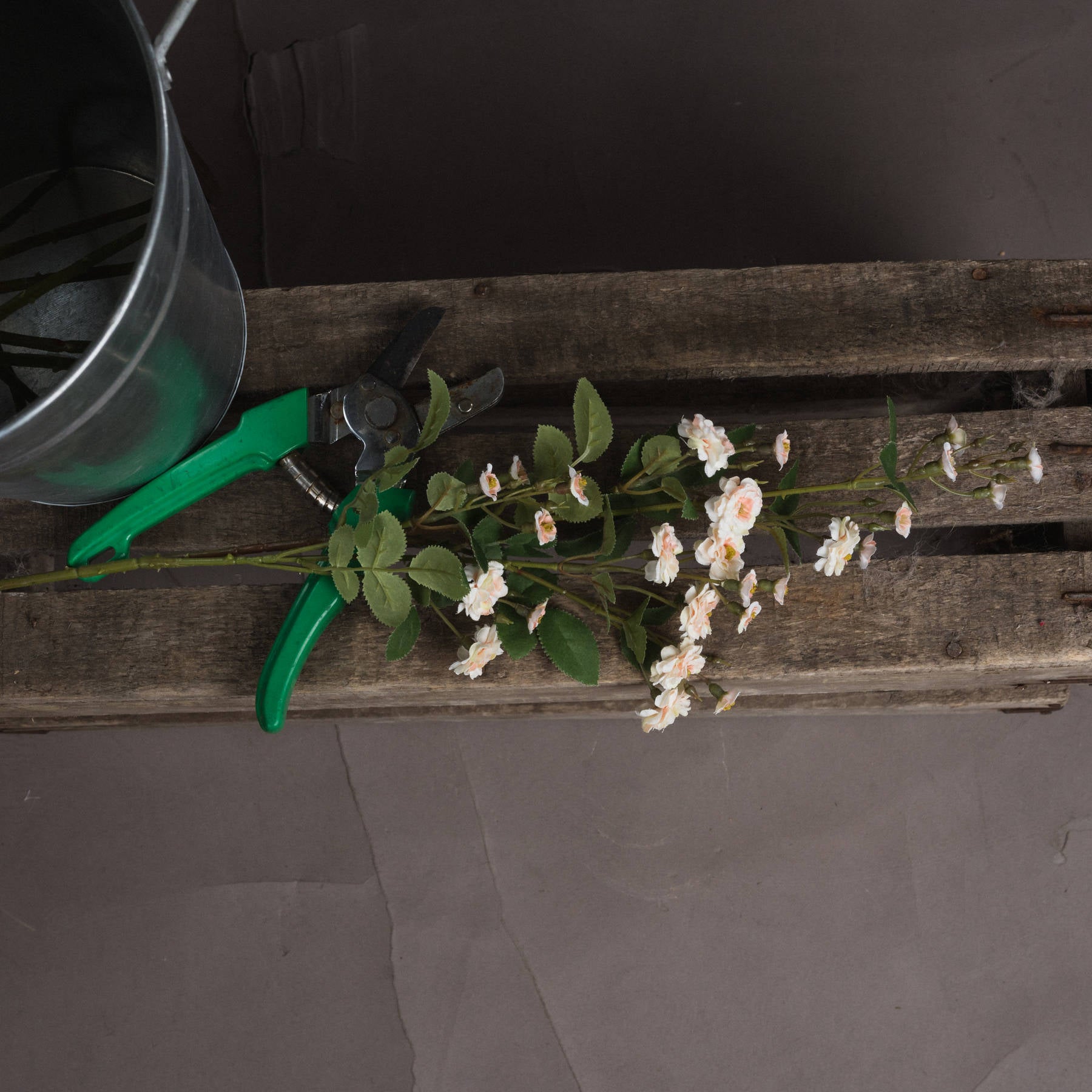 Cream Wild Meadow Rose - image 2