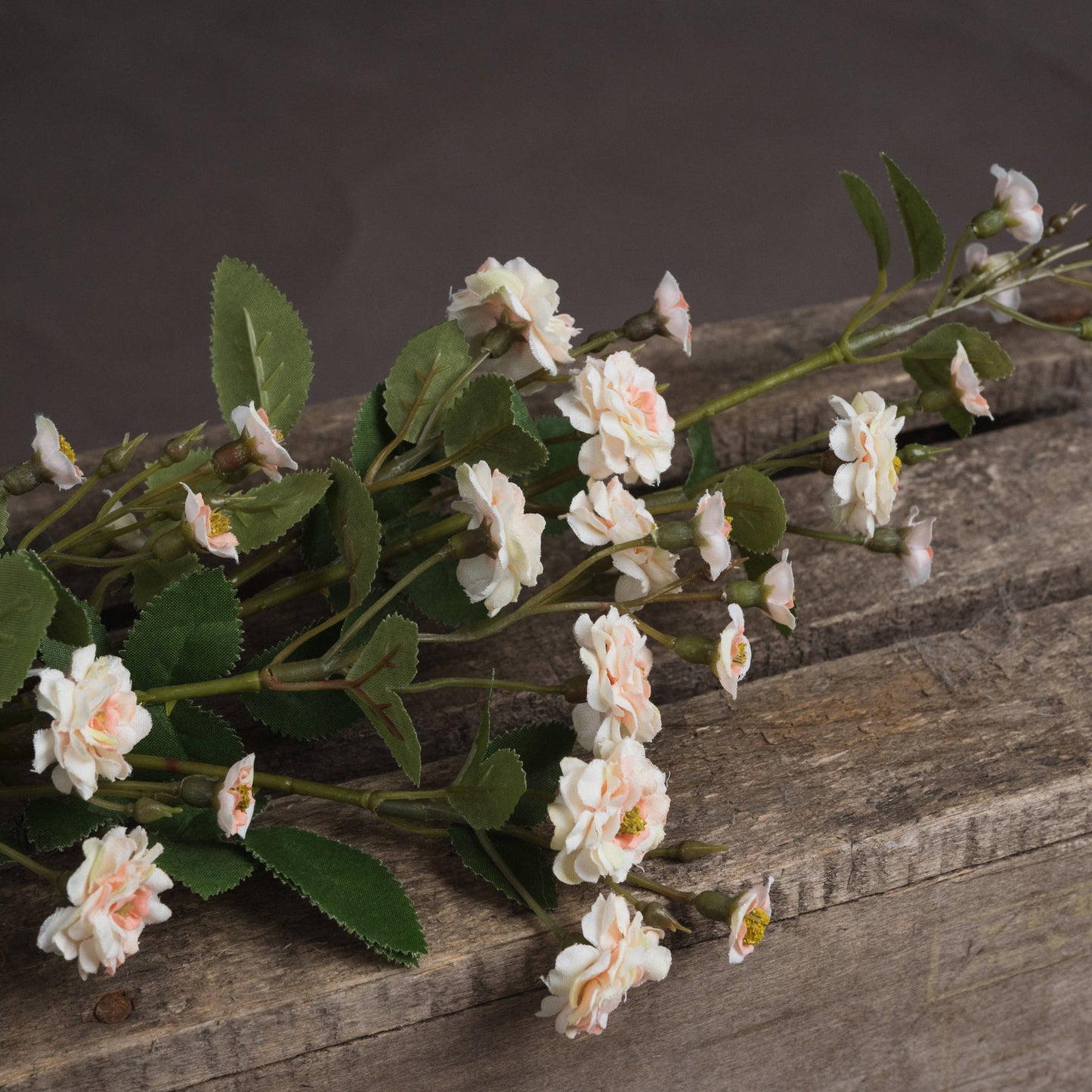 Cream Wild Meadow Rose - image 3