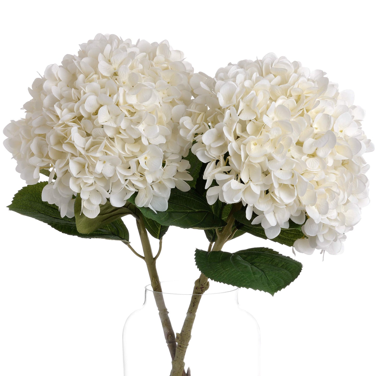 Oversized White Hydrangea - image 3