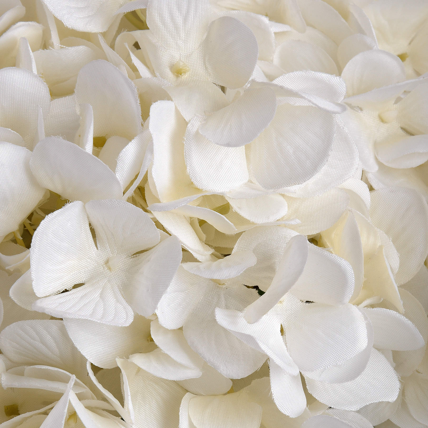 Oversized White Hydrangea - image 5