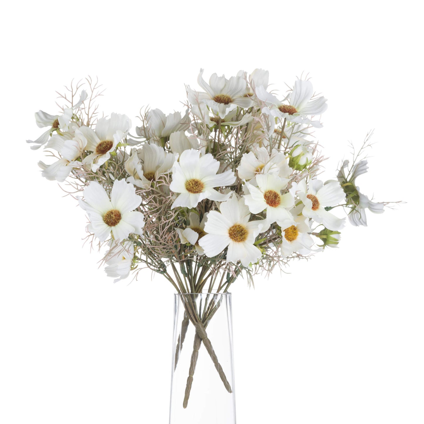 Cream Cosmos Spray - image 3