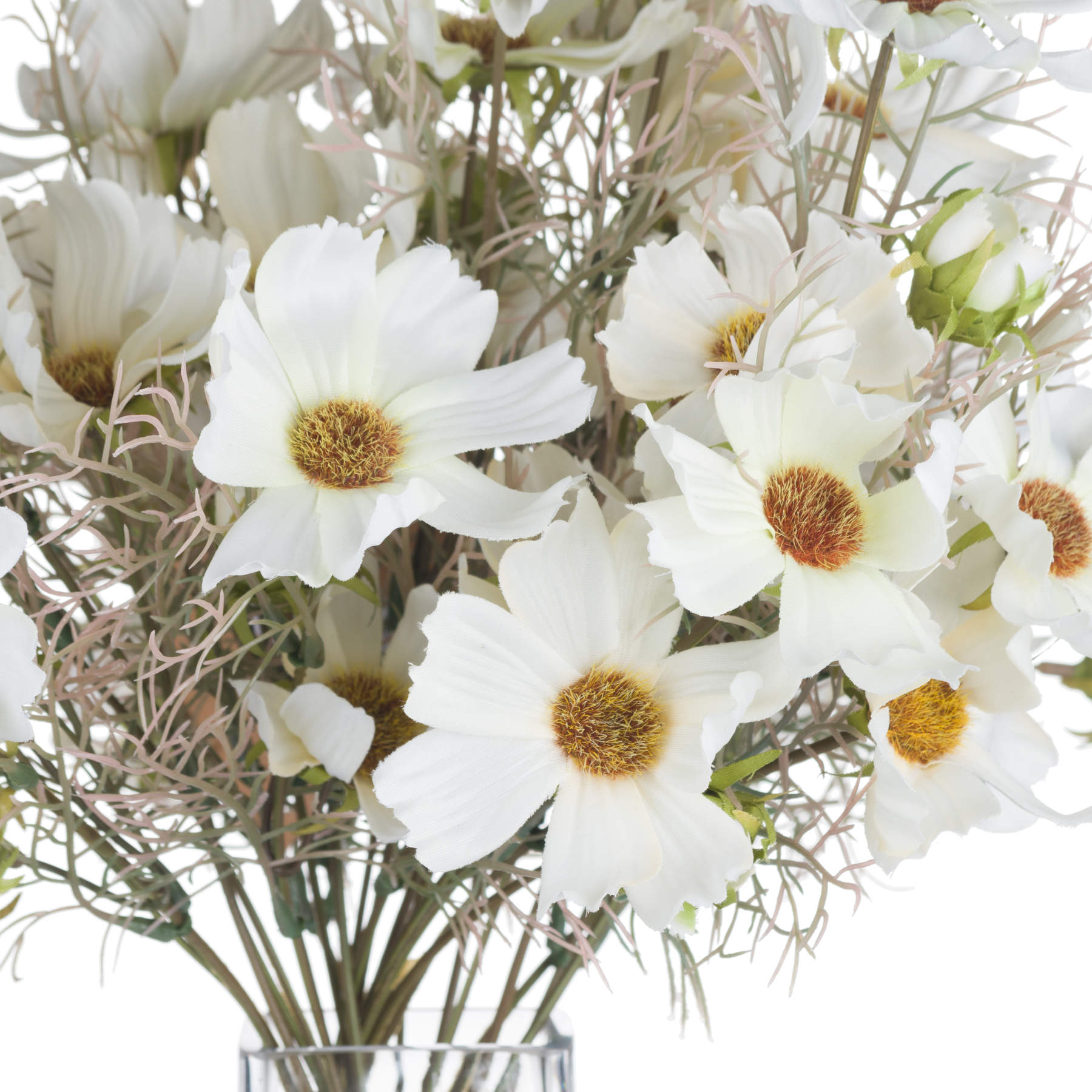 Cream Cosmos Spray - image 5