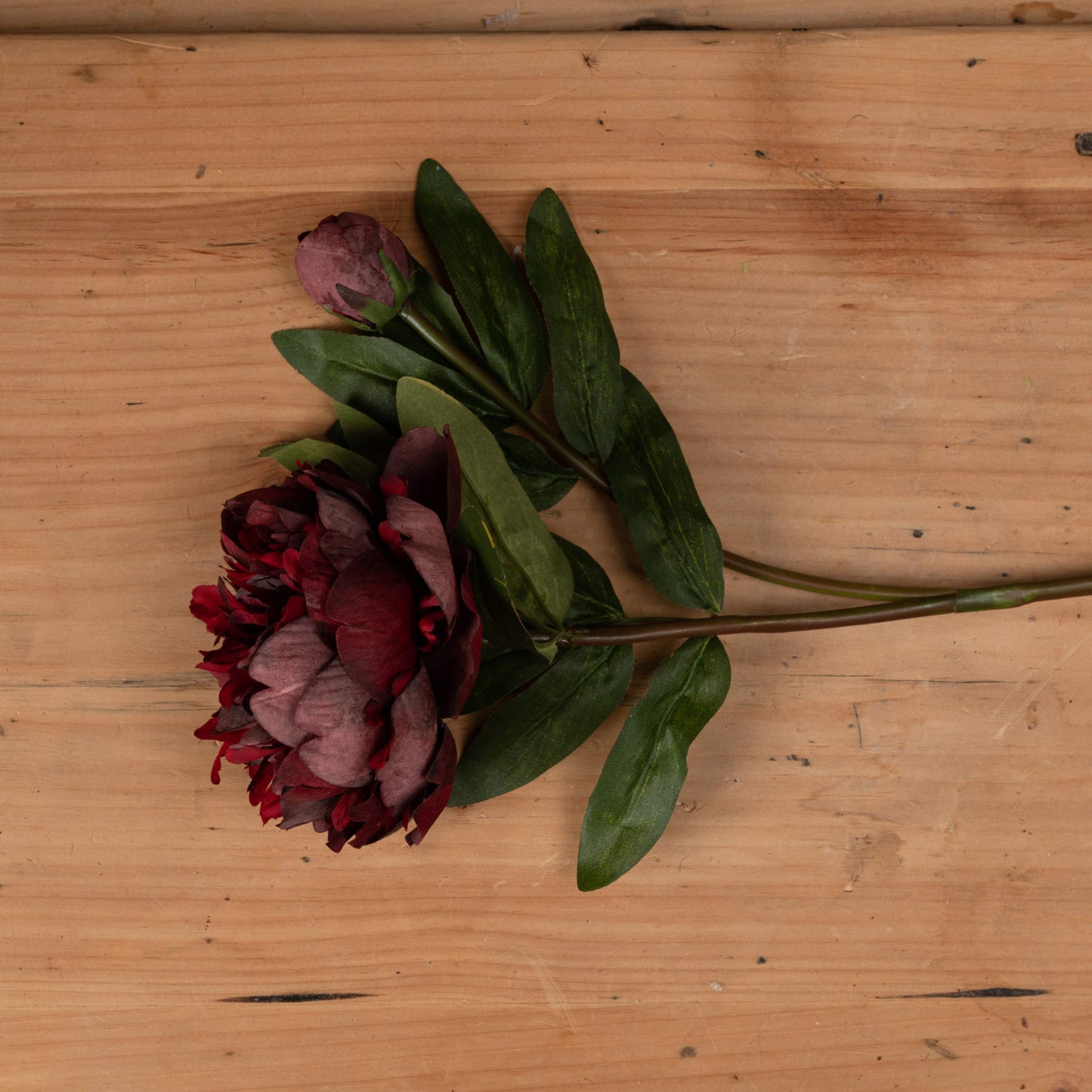 Burgundy Peony Rose - image 2
