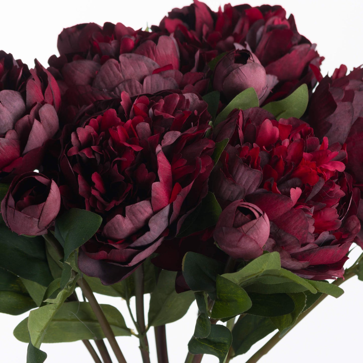 Burgundy Peony Rose - image 5
