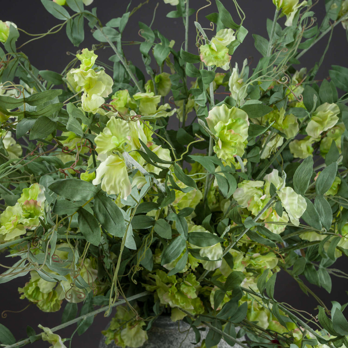 Sweet Pea Trail - image 2