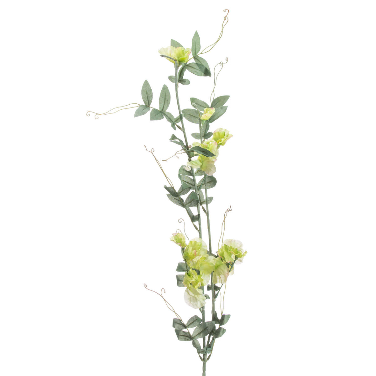 Sweet Pea Trail - image 3
