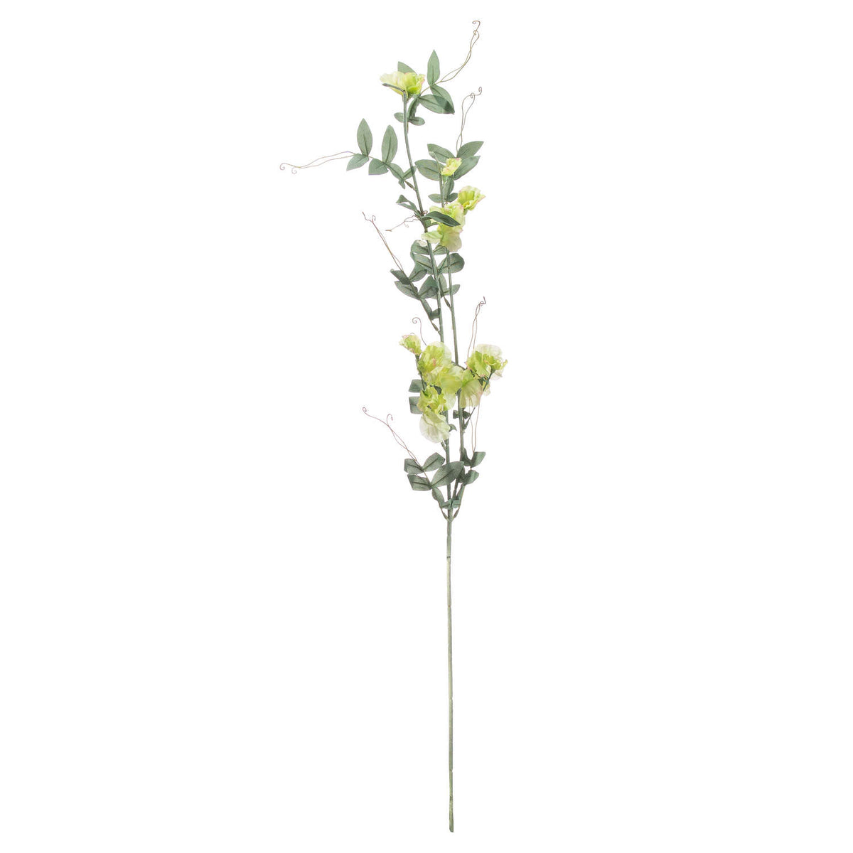 Sweet Pea Trail - image 4