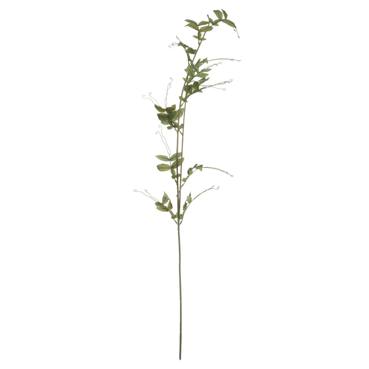 Sweet Pea Trail - image 5
