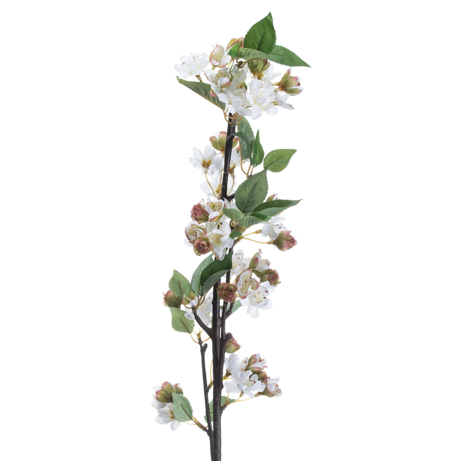 English Blossom Branch - image 3