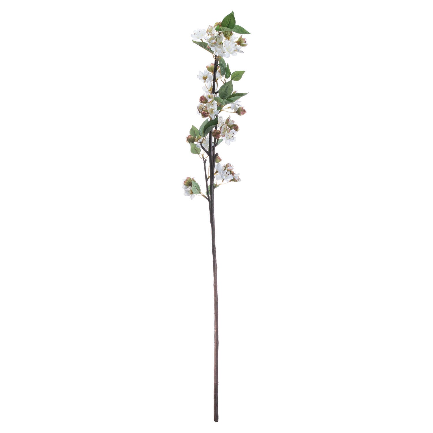 English Blossom Branch - image 4