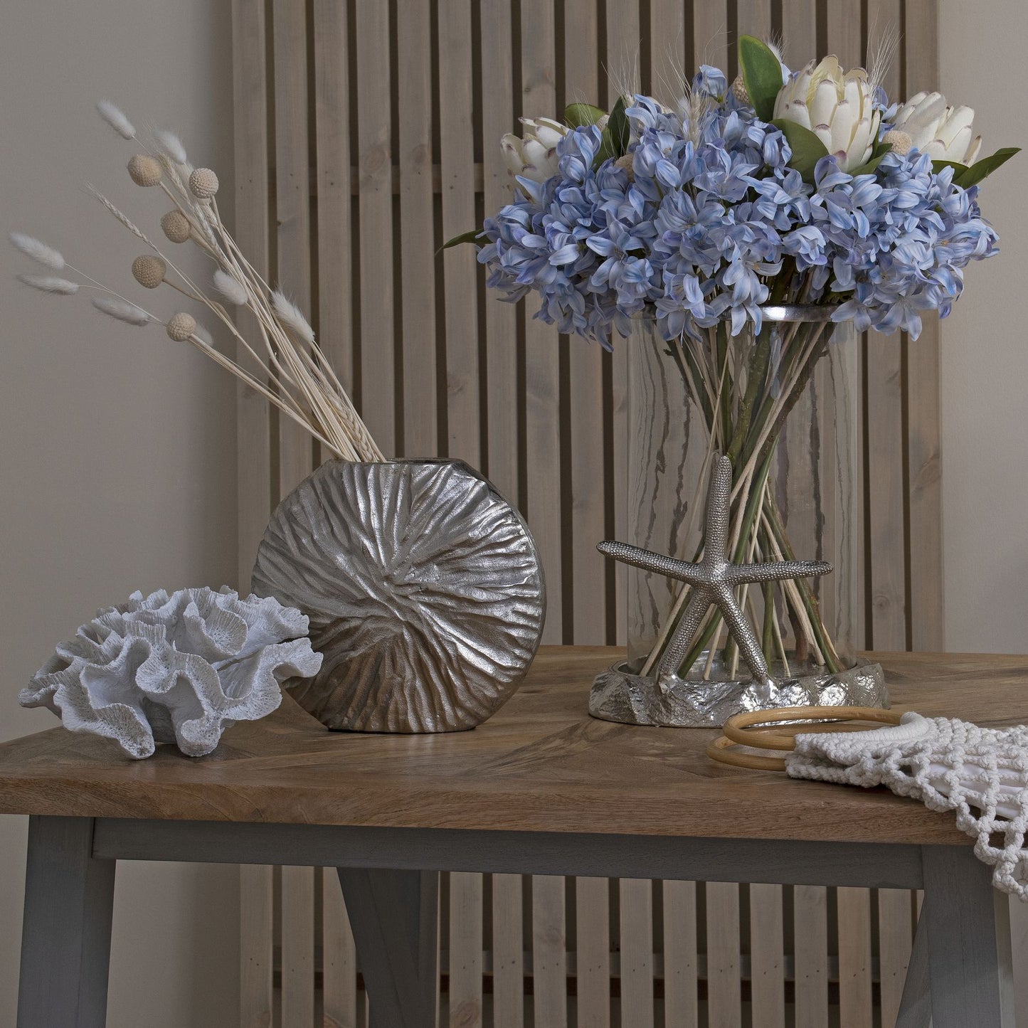 Light Blue Large Headed Agapanthus - image 5