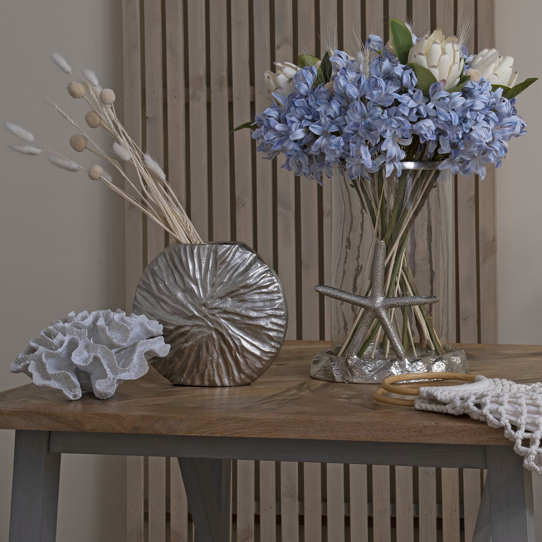 Light Blue Large Headed Agapanthus - image 5