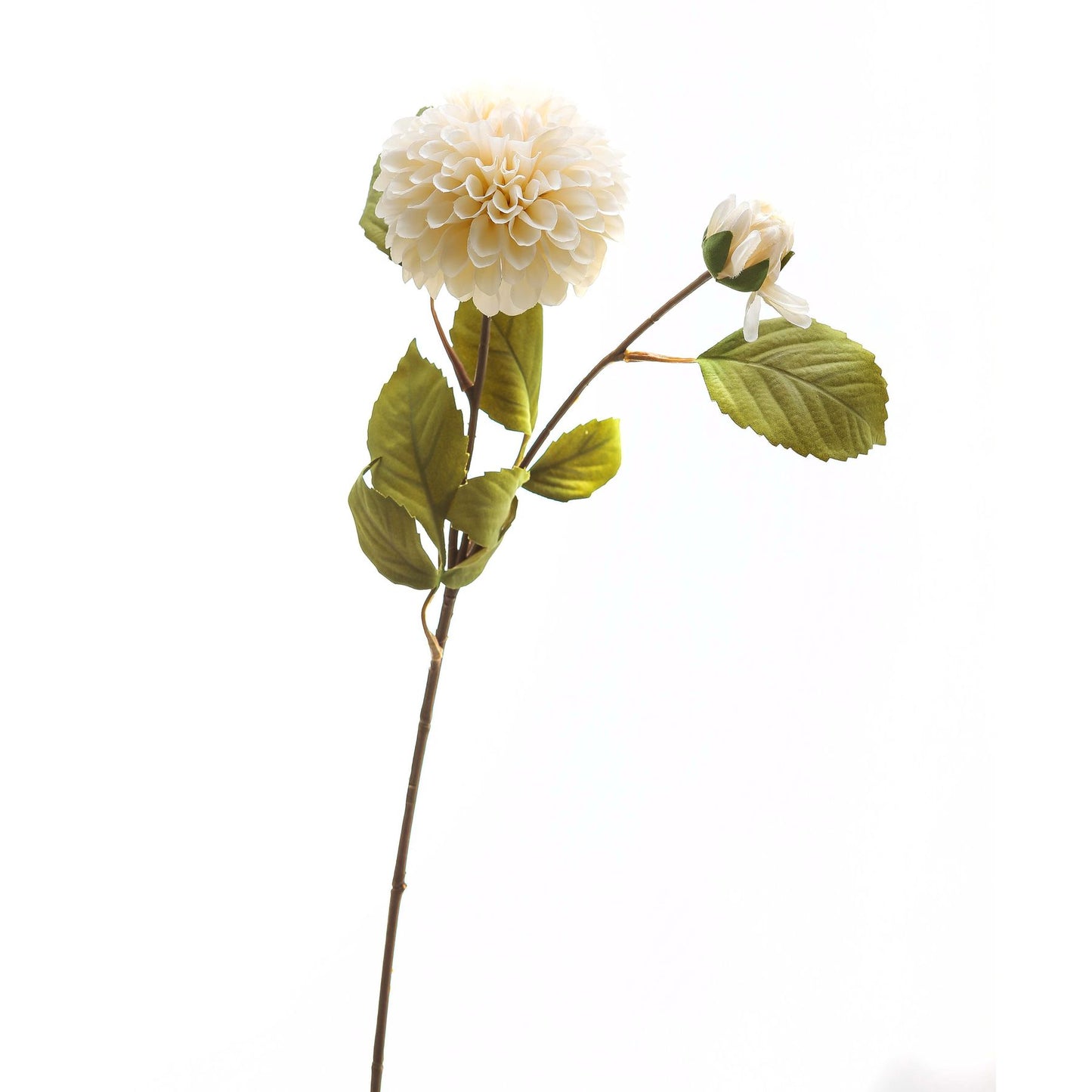 White Dahlia Stem - image 2