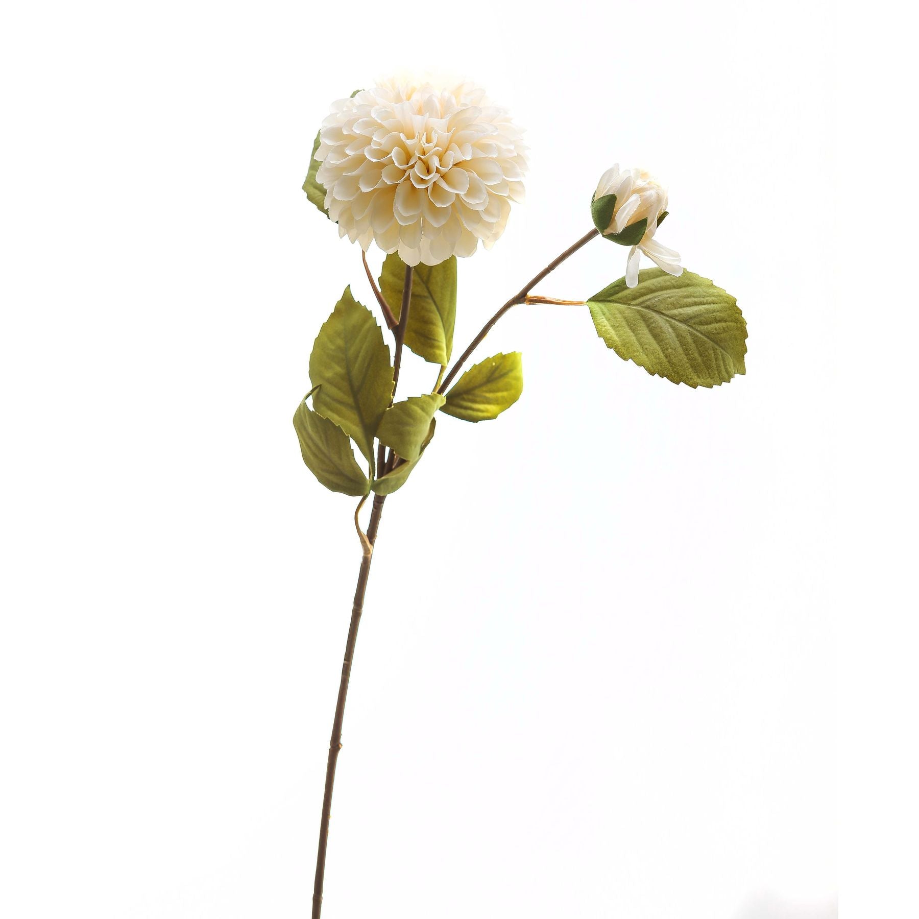 White Dahlia Stem - image 2