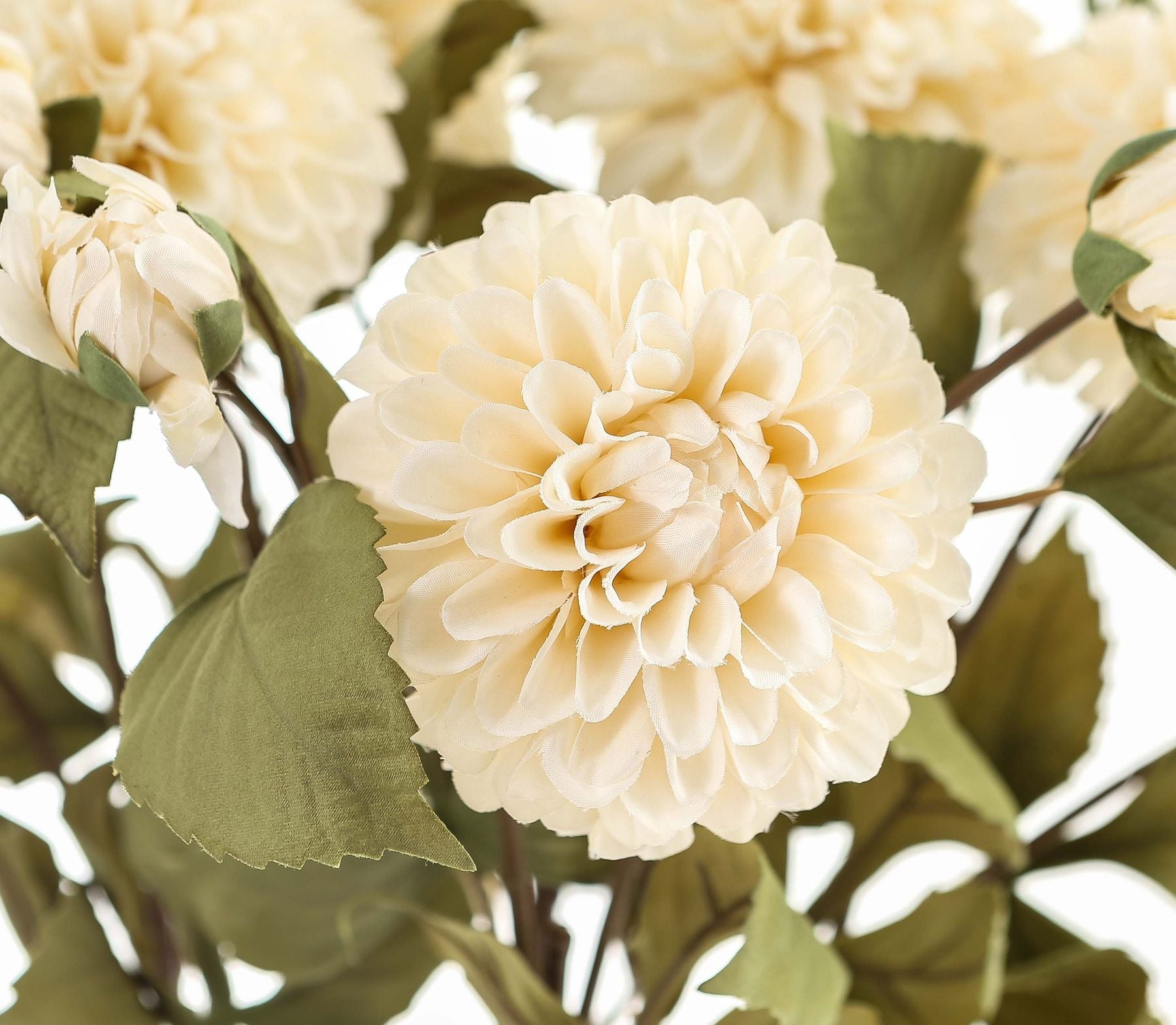 White Dahlia Stem - image 3