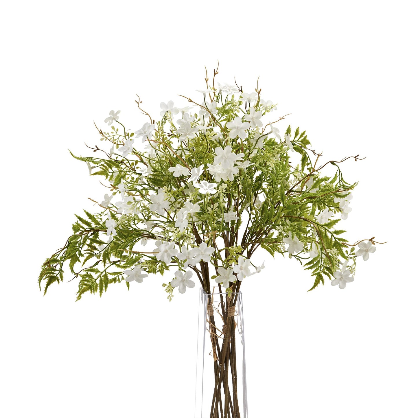 Italian White Bellflower - image 5