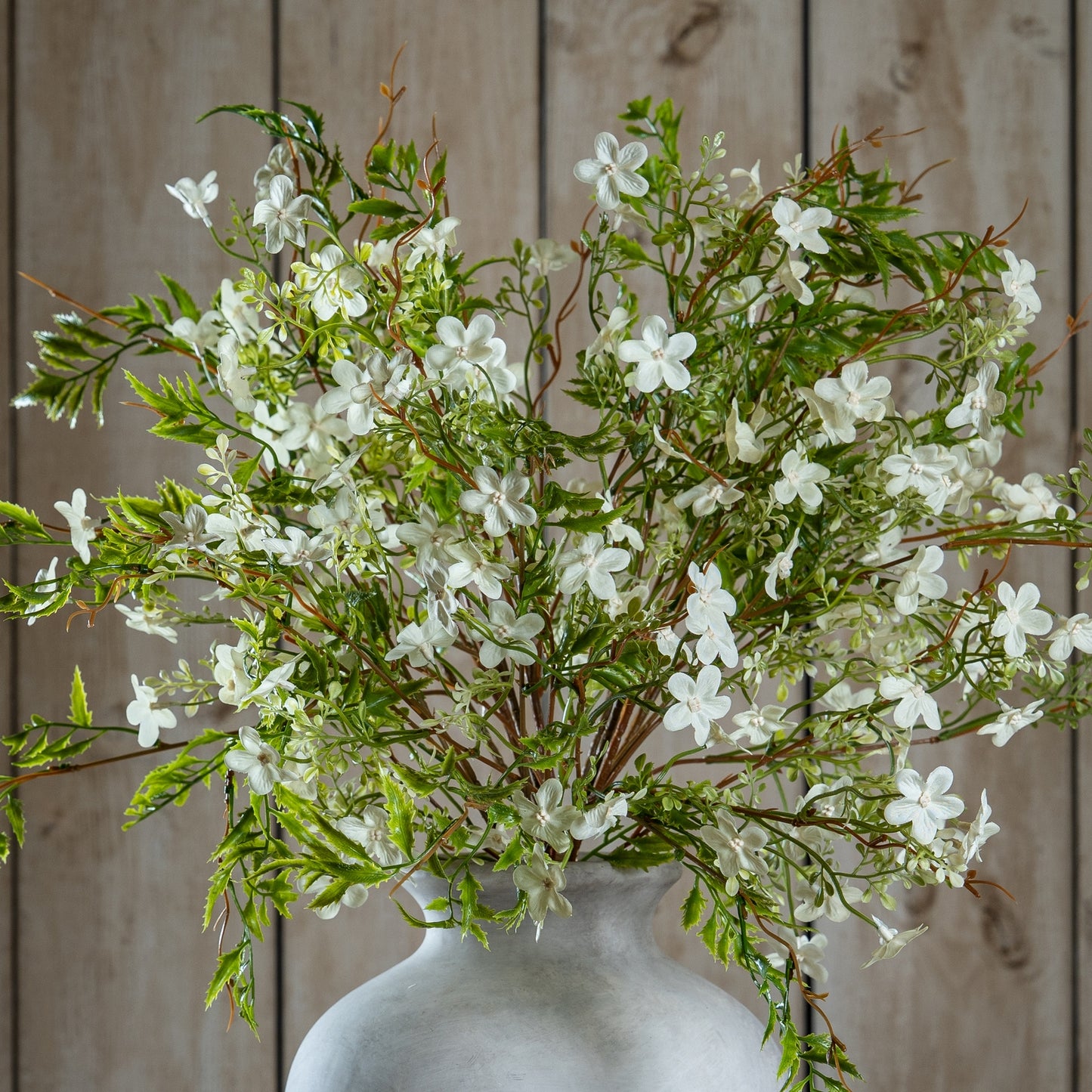 Italian White Bellflower