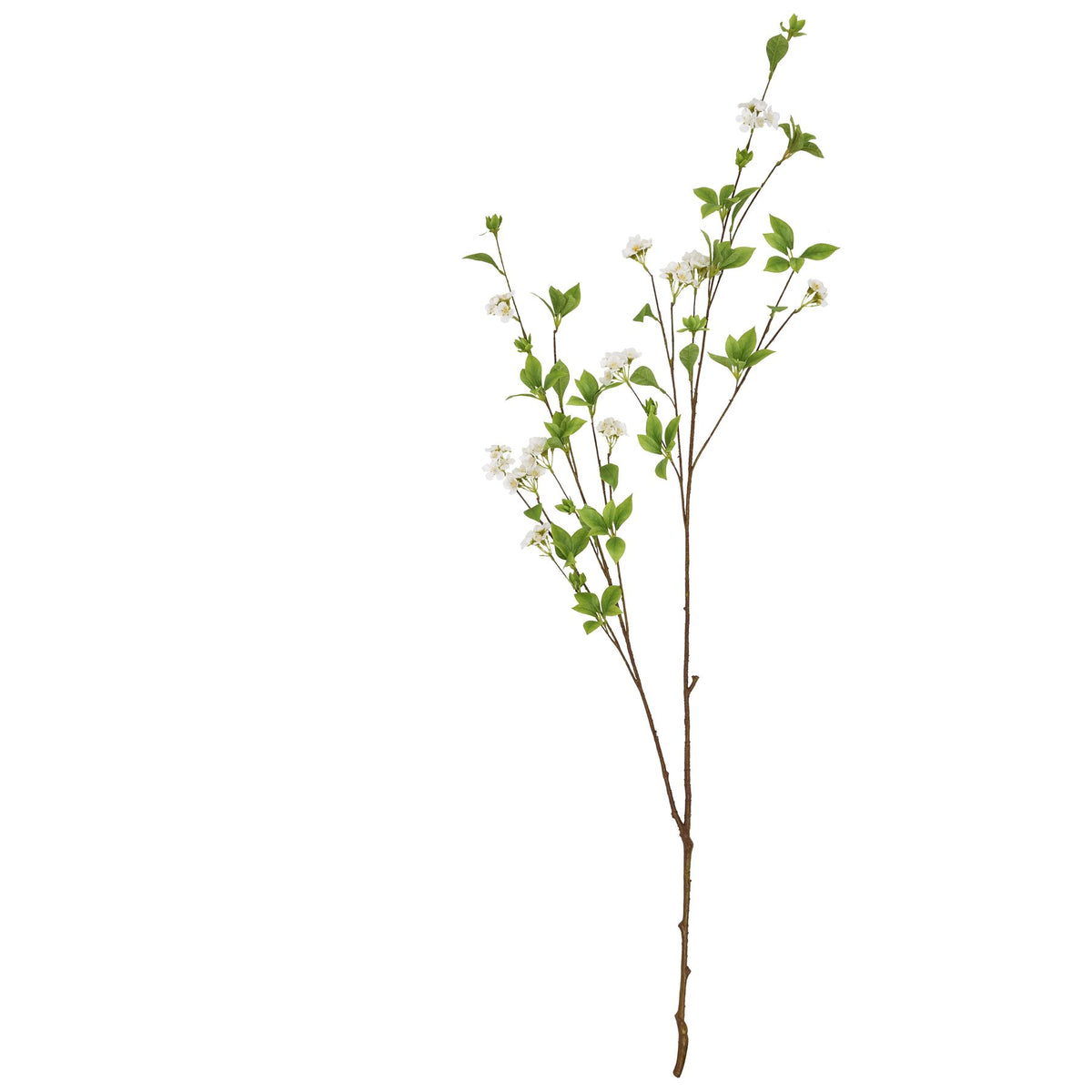 Tall Mock Orange Spray - image 4