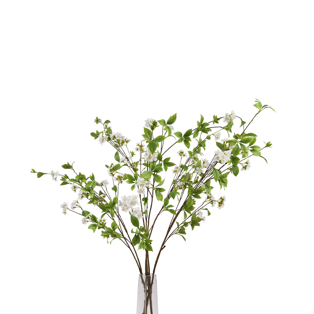 Tall Mock Orange Spray - image 5