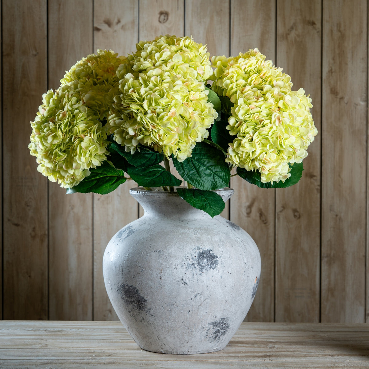 Oversized Green Hydrangea - image 2