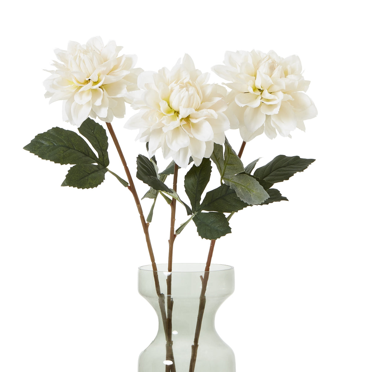 The Natural Garden Collection Tall White Dahlia - image 3