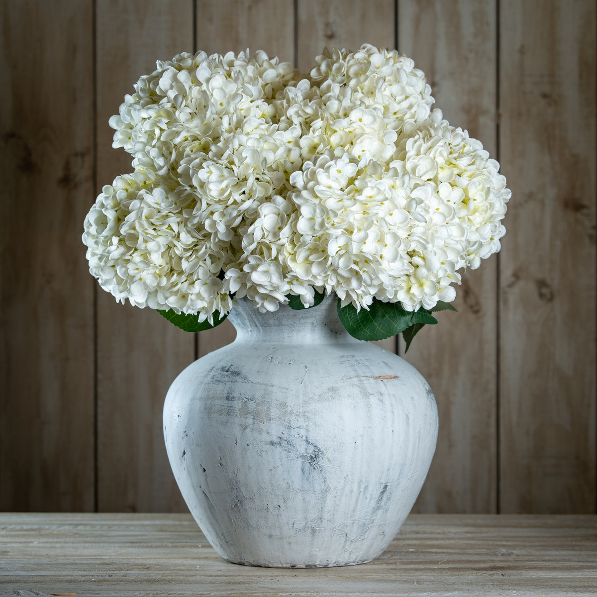 The Natural Garden Collection White Allium - image 2