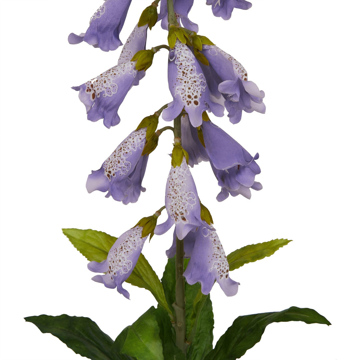 The Natural Garden Collection Mauve Foxglove - image 2