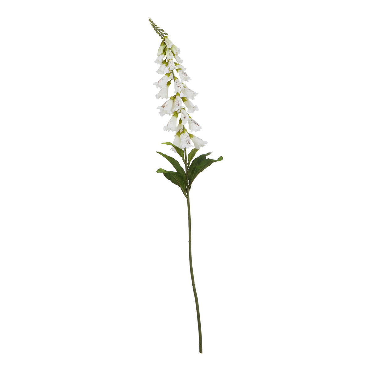The Natural Garden Collection White Foxglove - image 2