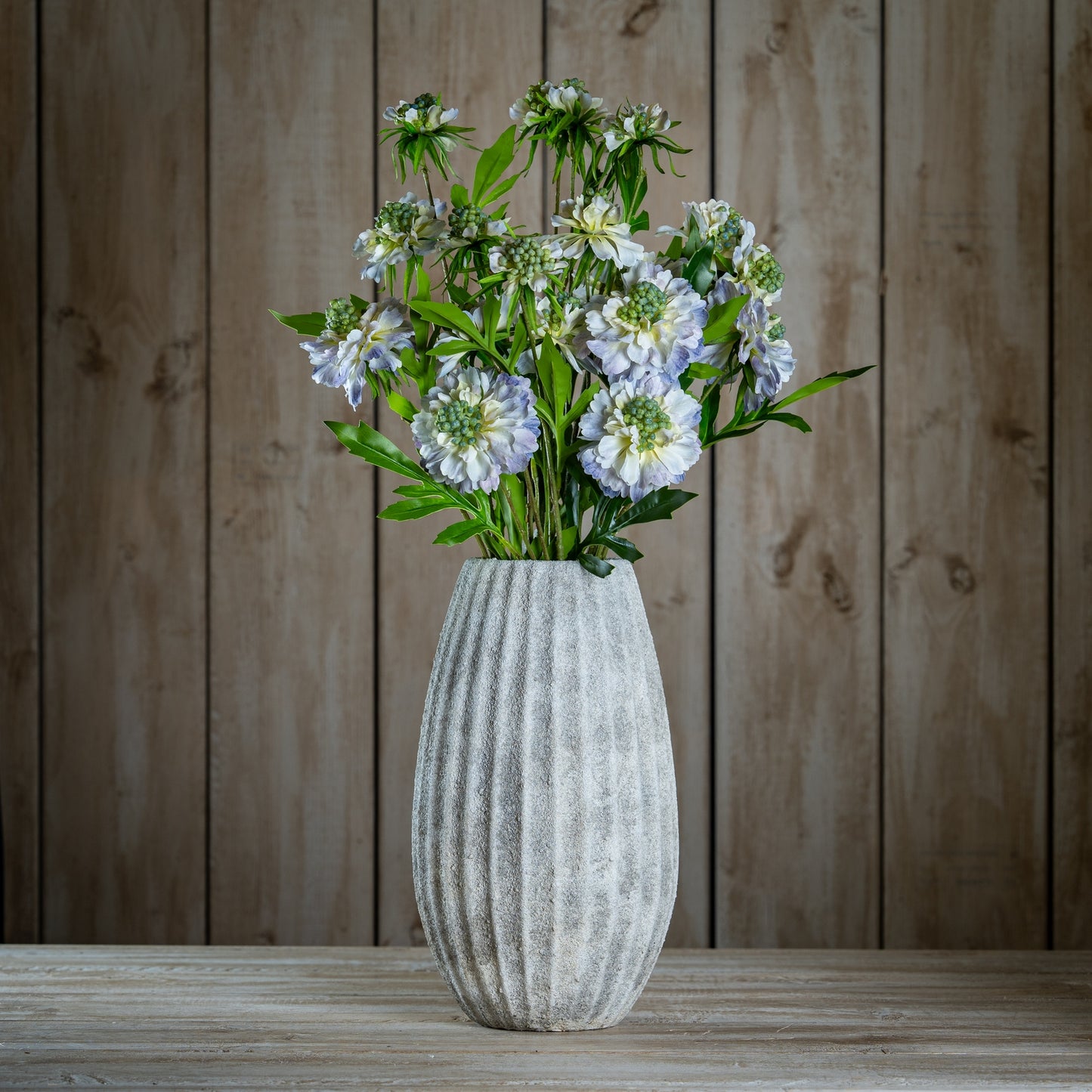 Pale Blue Scabious Stem - image 2