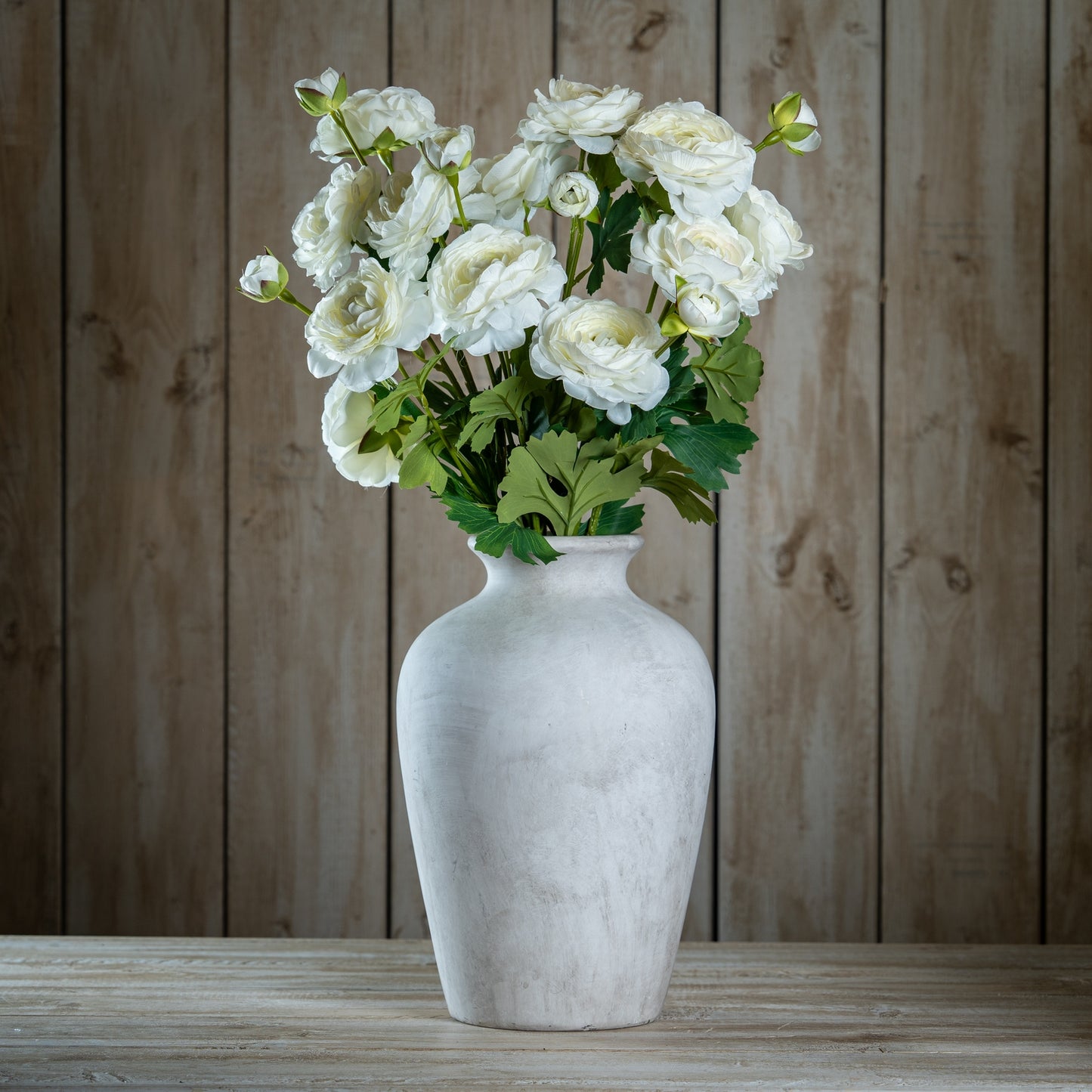 The Natural Garden Collection Apricot Ranunculus - image 2