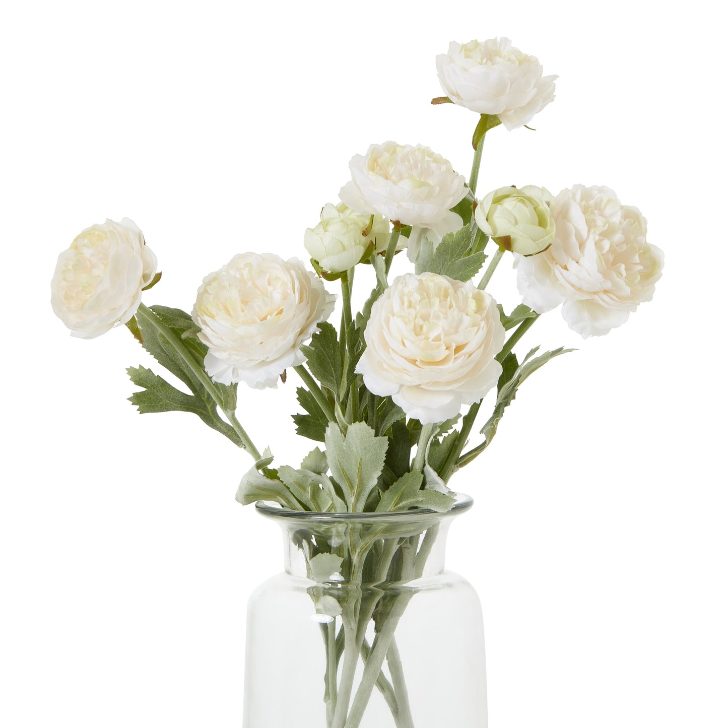 The Natural Garden Collection Apricot Ranunculus - image 3
