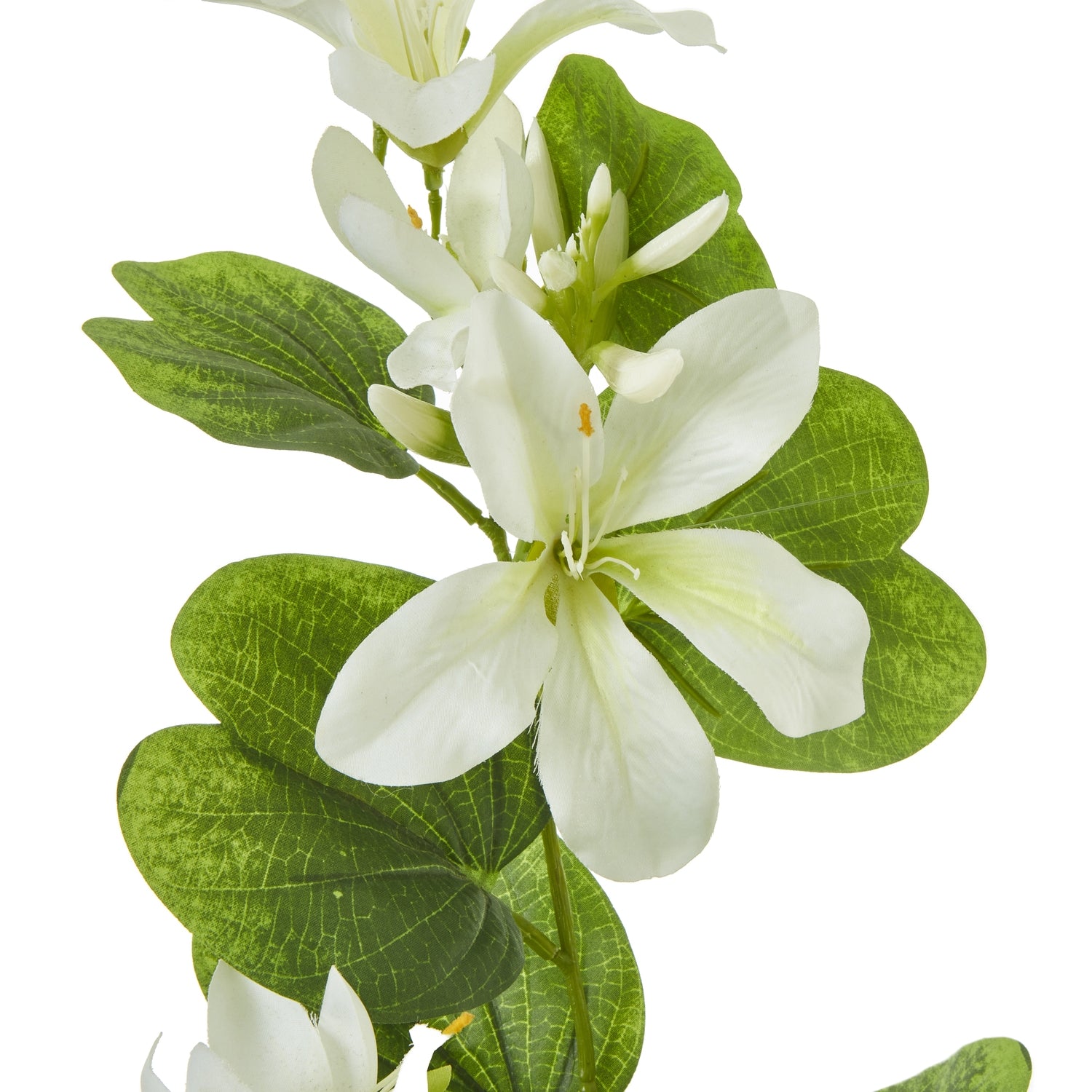 Cream Bauhinia Orchid Spray - image 2