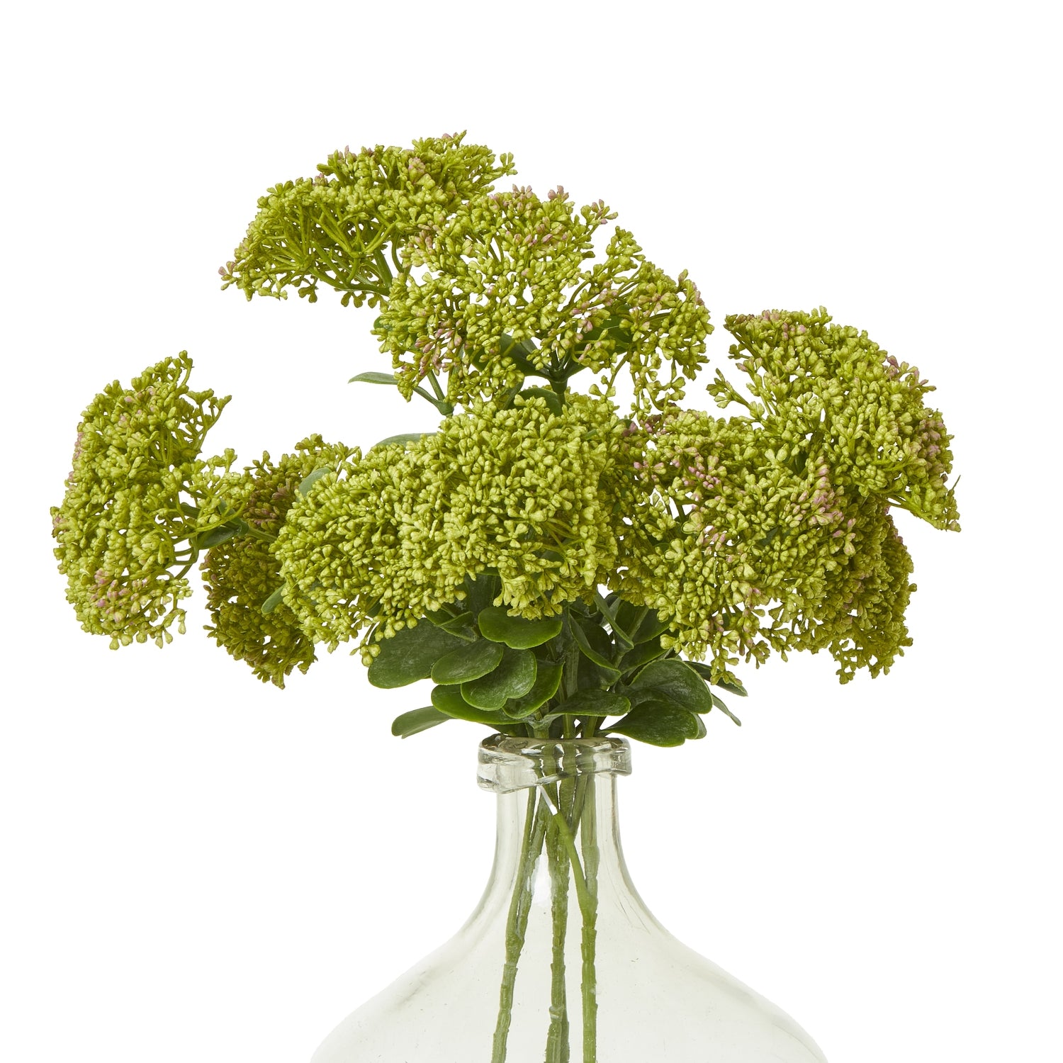 Green Sedum Spray - image 3