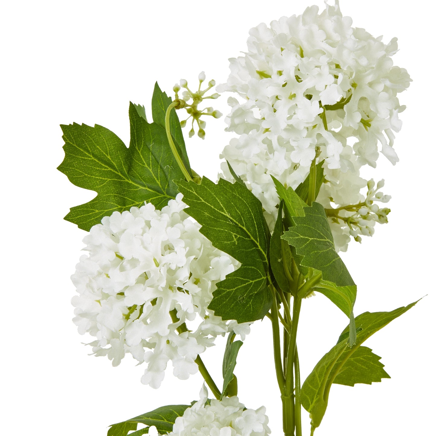 Cream Snowball Viburnum Spray - image 2