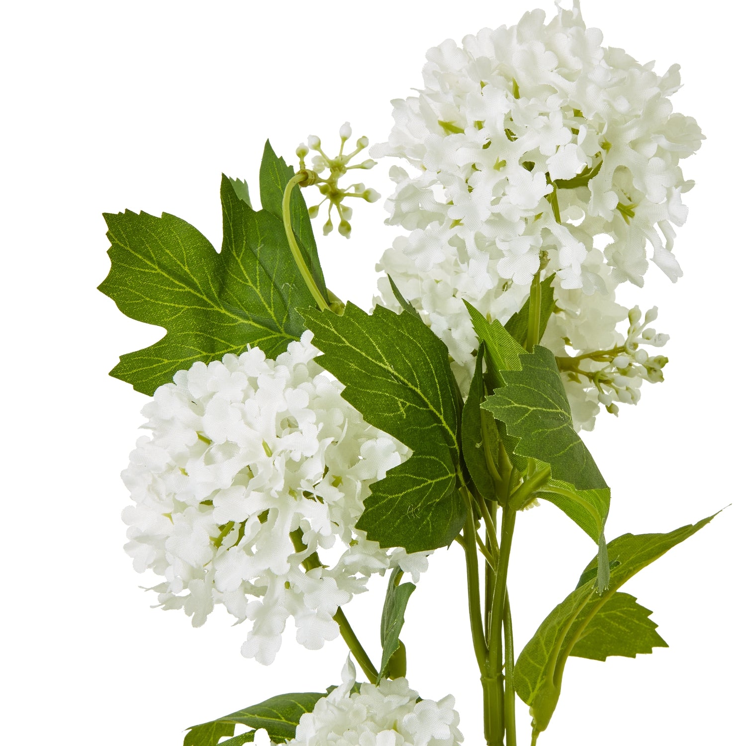 Cream Snowball Viburnum Spray - image 2
