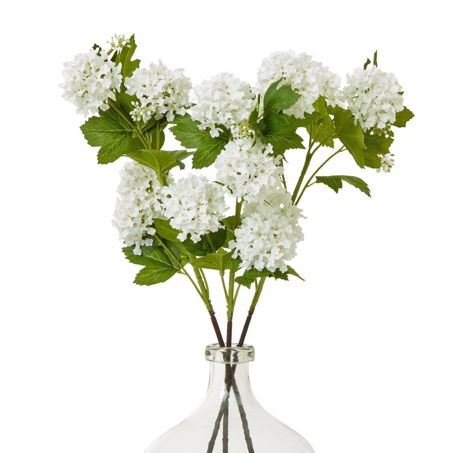 Cream Snowball Viburnum Spray - image 3