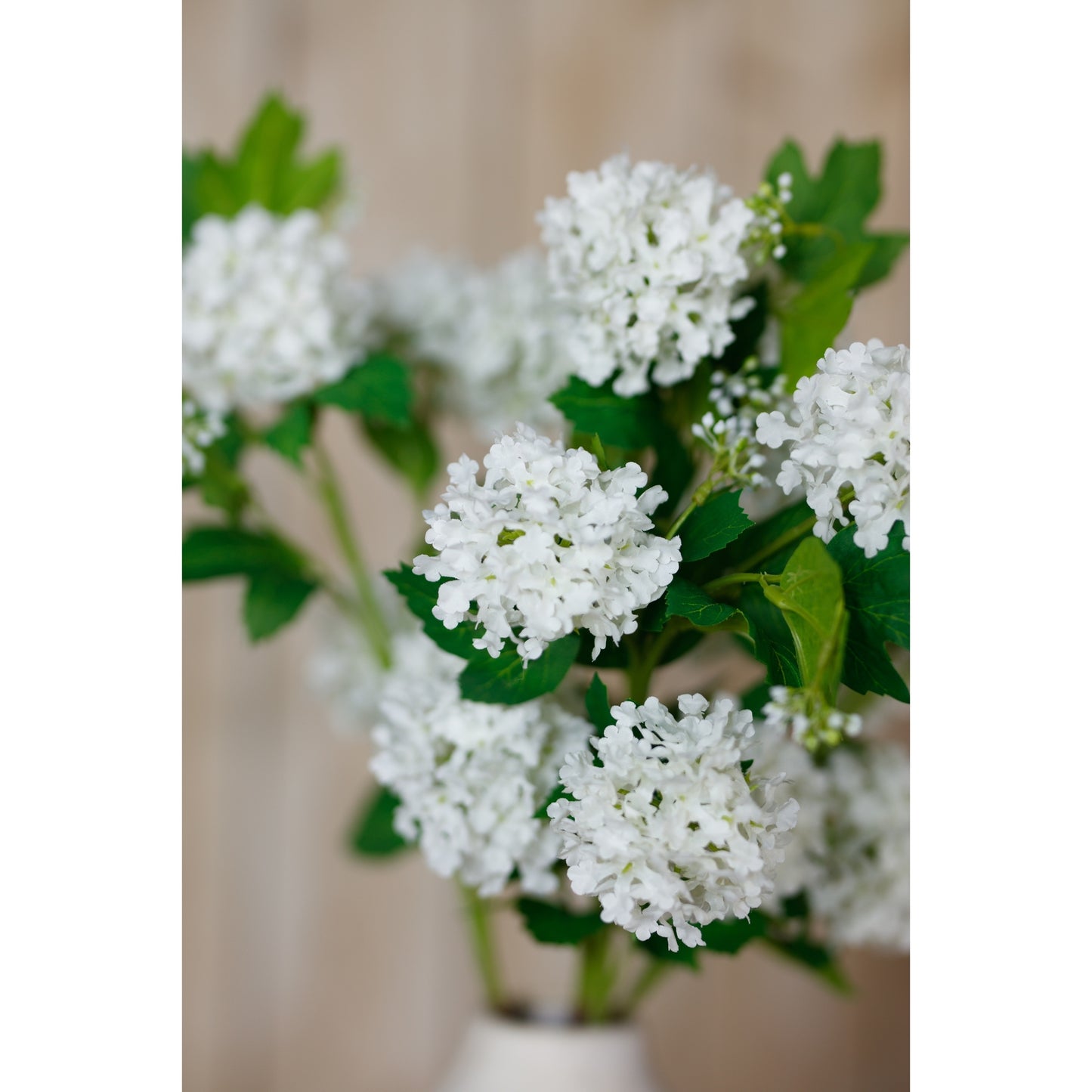 Cream Snowball Viburnum Spray - image 5