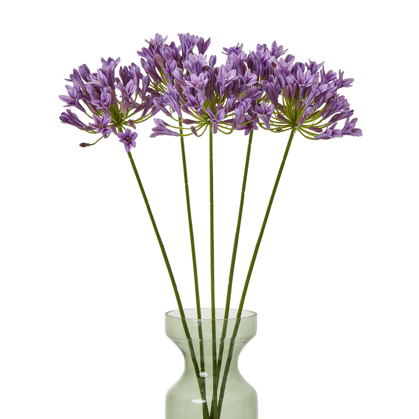 Lilac Agapanthus Spray - image 3