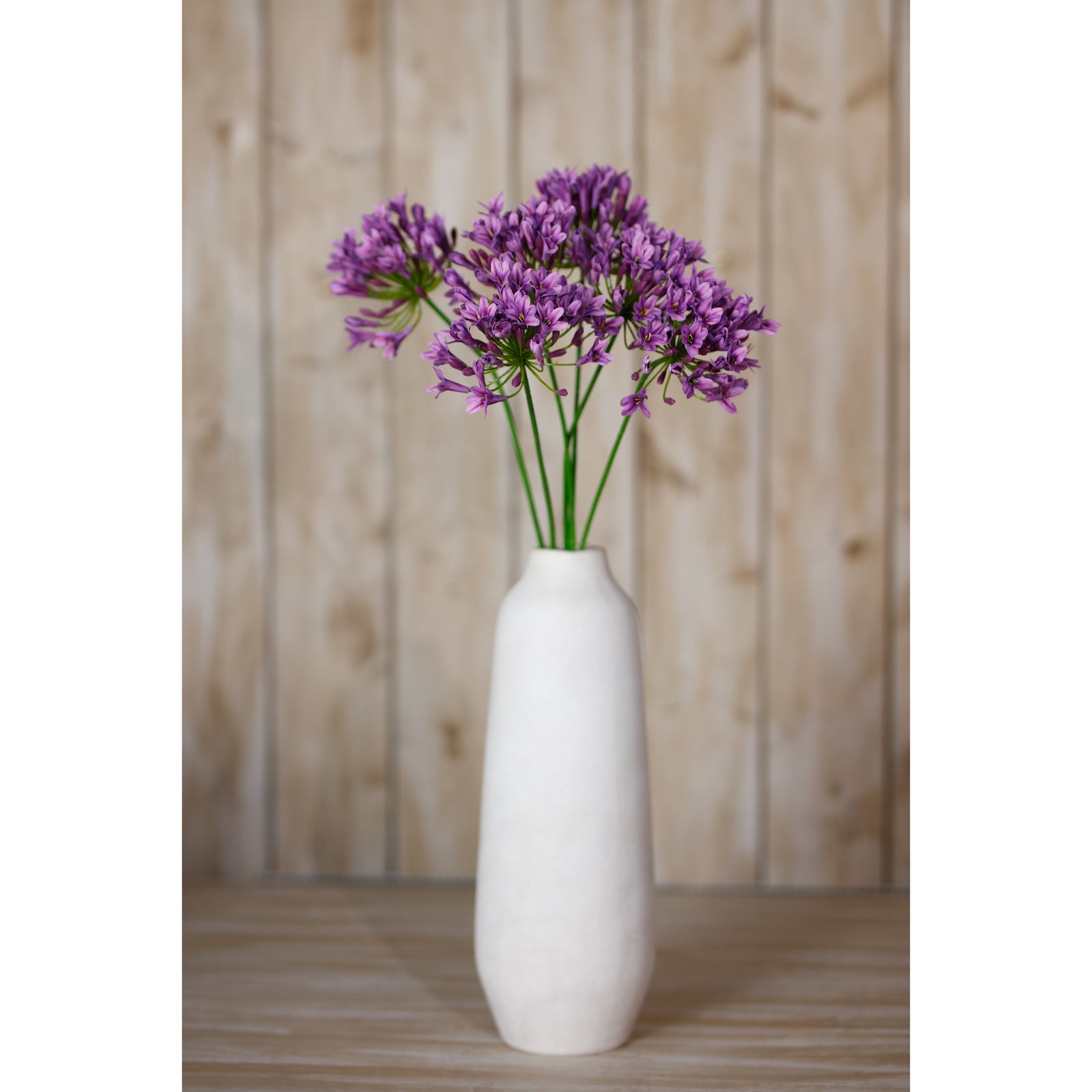 Lilac Agapanthus Spray - image 4