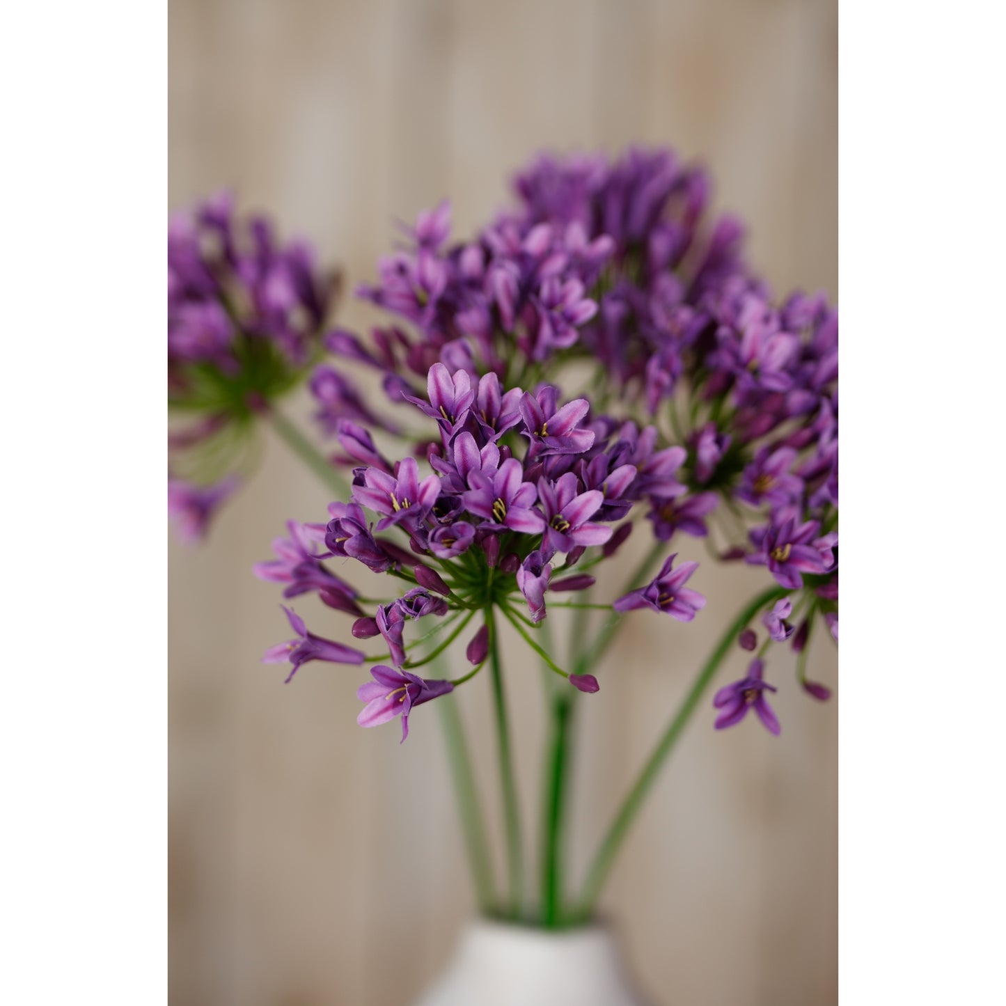Lilac Agapanthus Spray - image 5