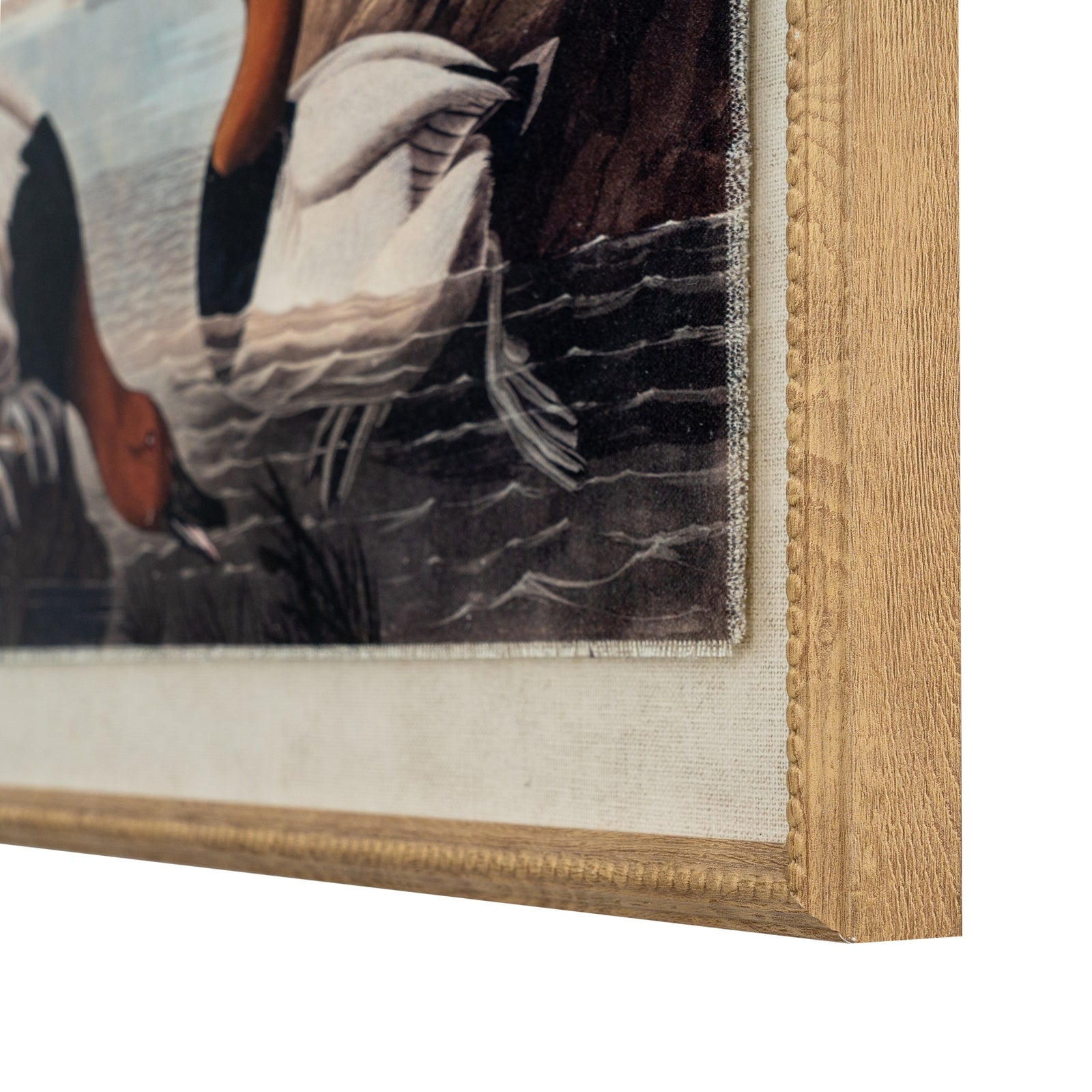 Flora & Fauna Collection Pochards On Linen In Beaded Frame - image 2