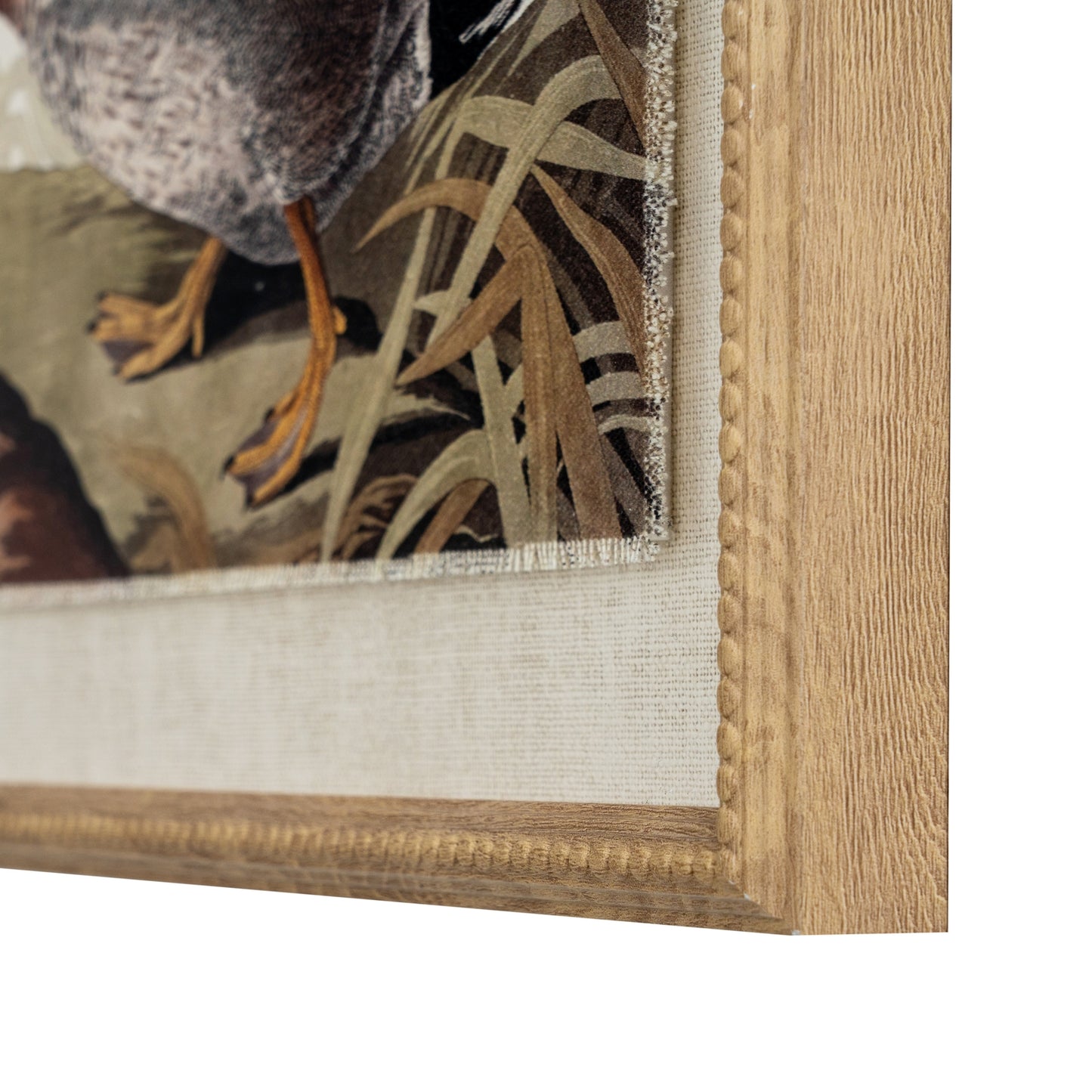 Flora & Fauna Collection Duck On Linen In Beaded Frame - image 2