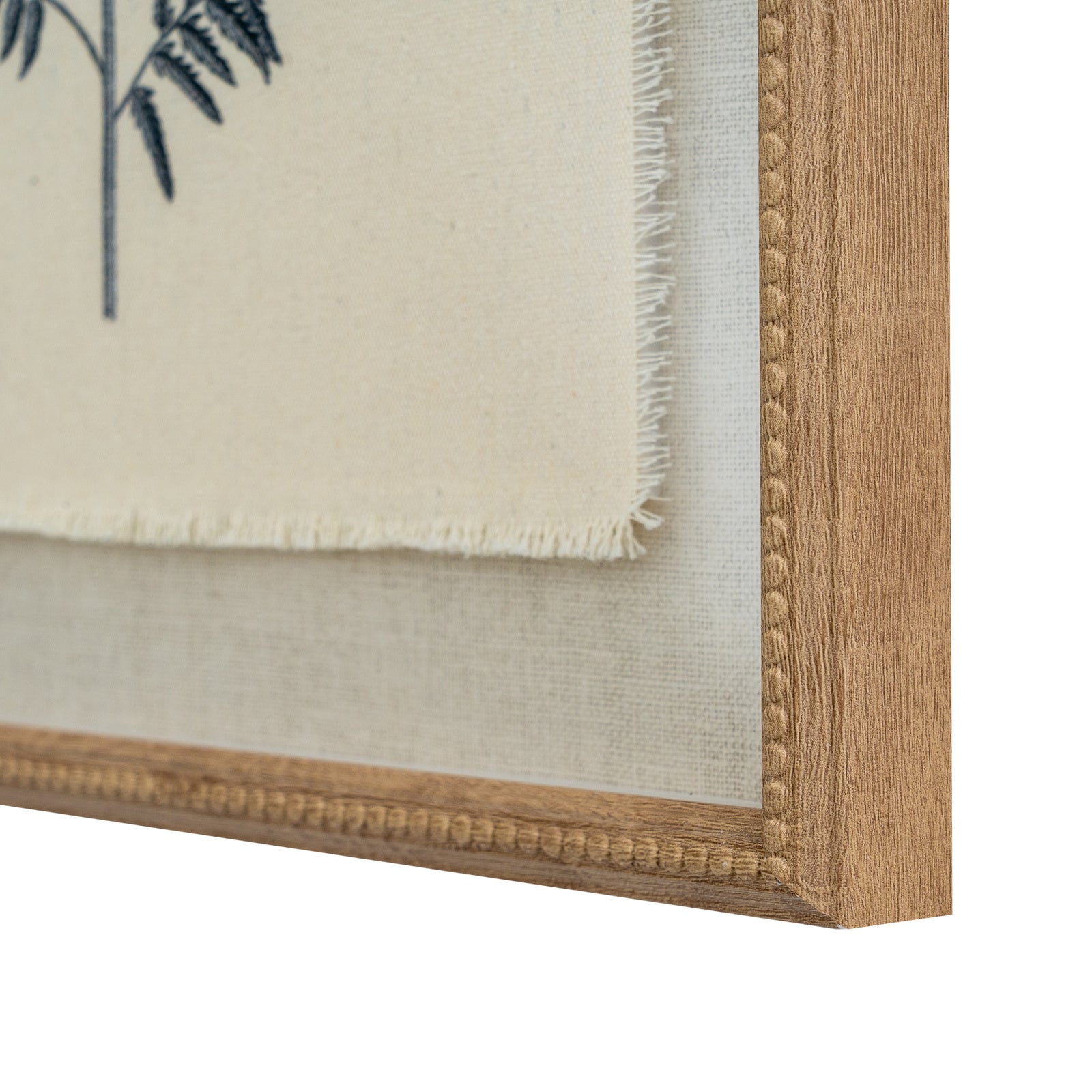 Flora & Fauna Collection Beech Fern On Linen In Beaded Frame - image 2